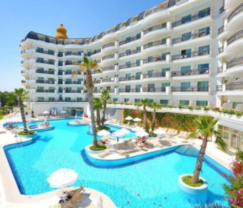 ASTERIA BLOOM SIDE (EX.SELECTUM FOR TWO SIDE)