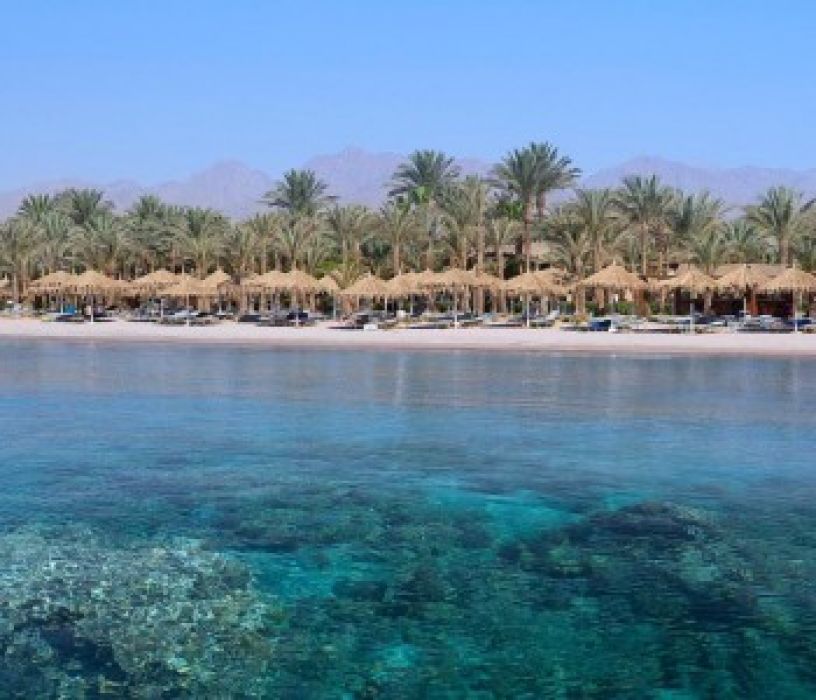 JAZ SHARM DREAMS RESORT